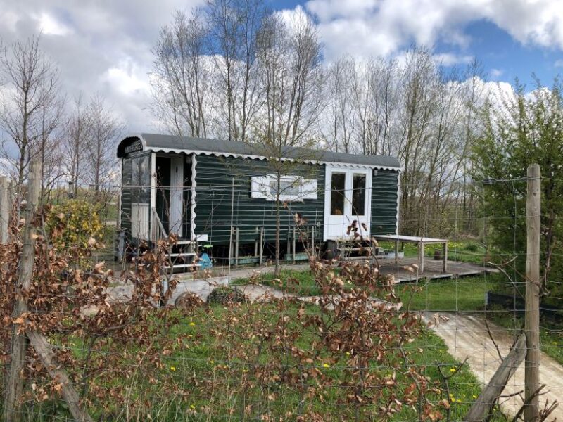 In de schijnwerpers: Yvon Schuler van de BUITENpraktijkElst