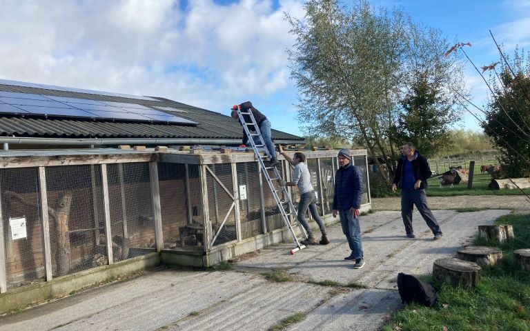 Afdak tegen vogelgriep