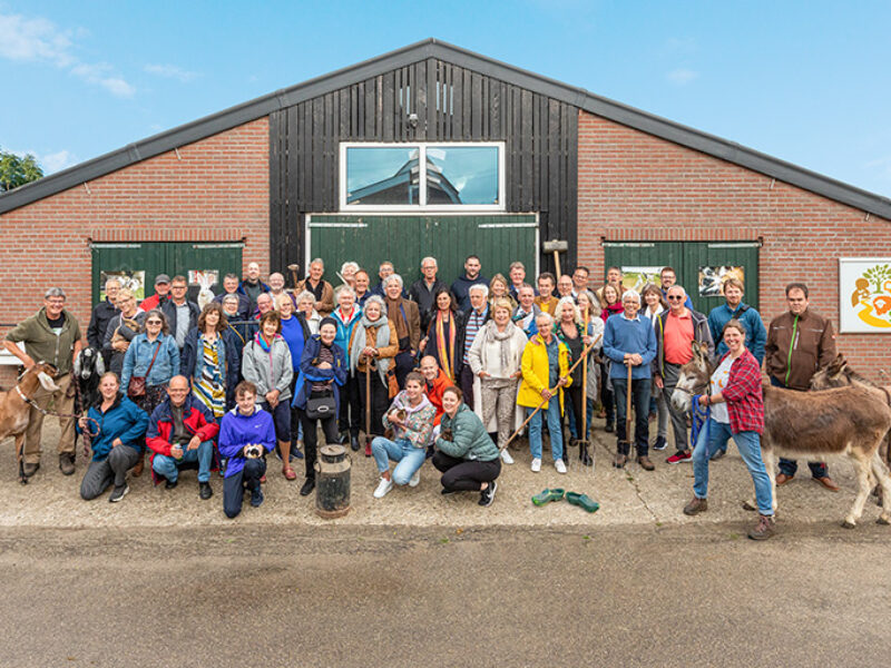 Vrijwilligers festival