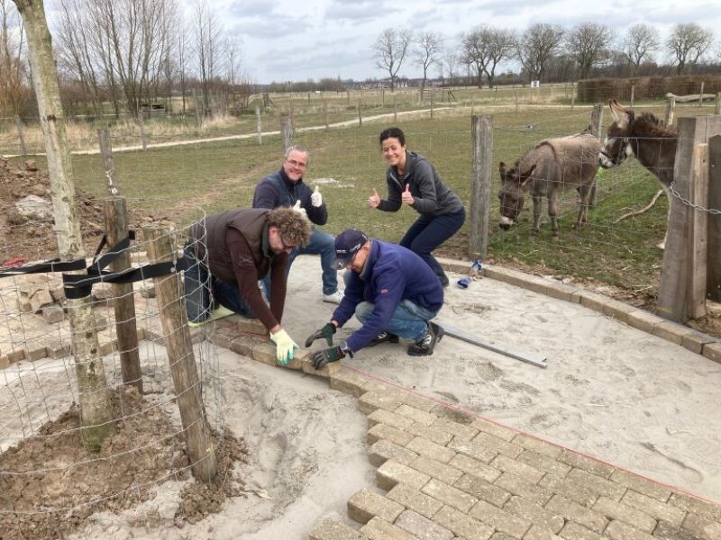 Plein bij de dierenweide
