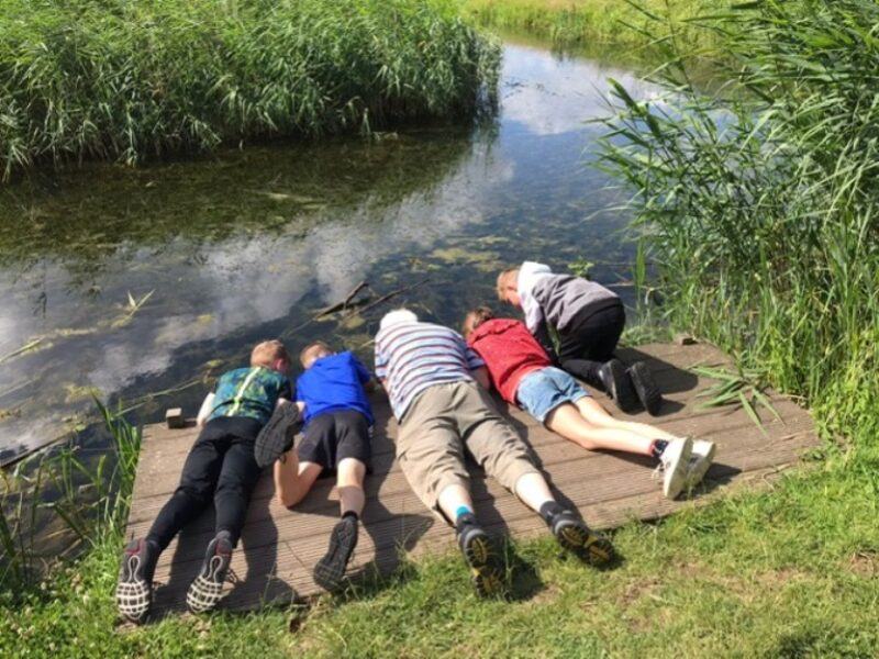 Natuurgidsen aan het werk