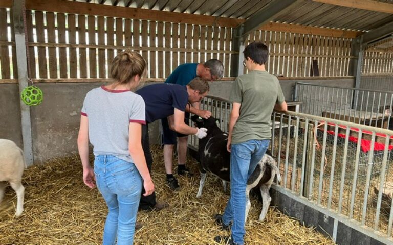 Leren op de kinderboerderij