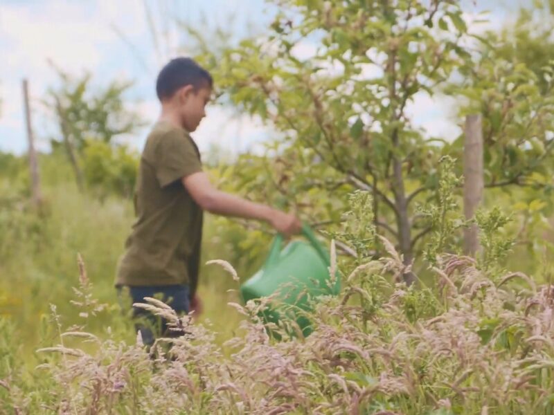 Een emmertje water brengen