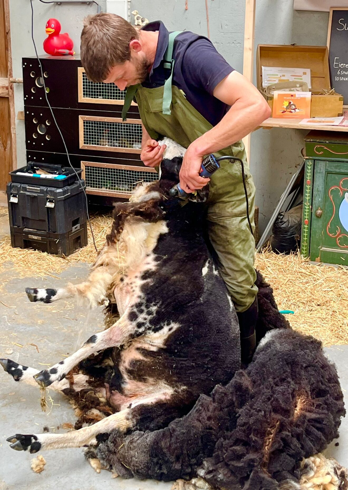 Scheren, spinnen en kaarden
