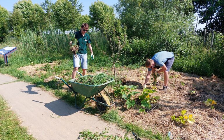 IJverige (tuin)lui