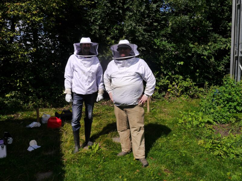 Basiscursus Bijenhouden