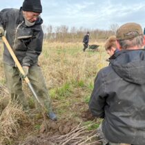 Blue zones en voeding