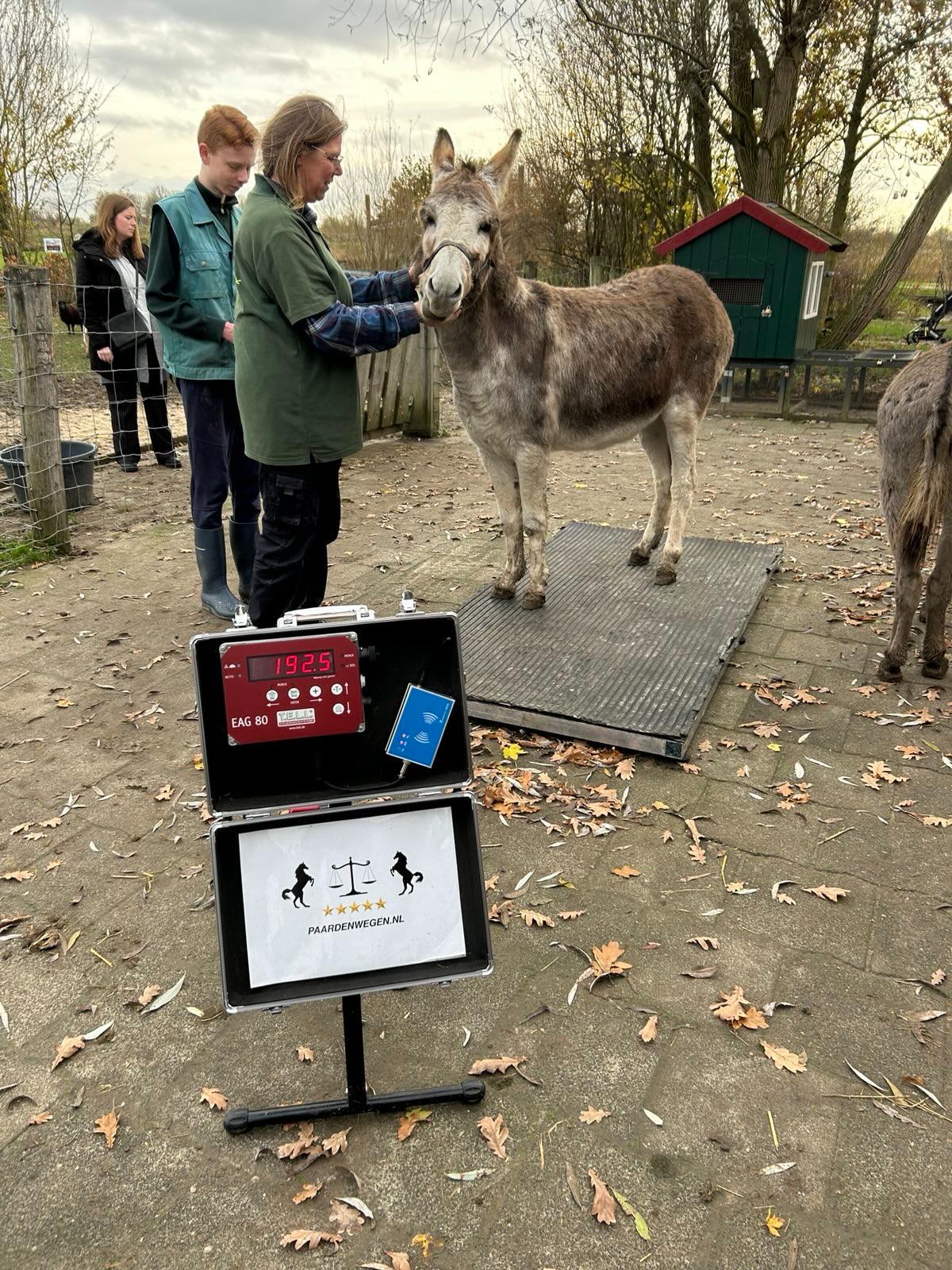 Dieren wegen