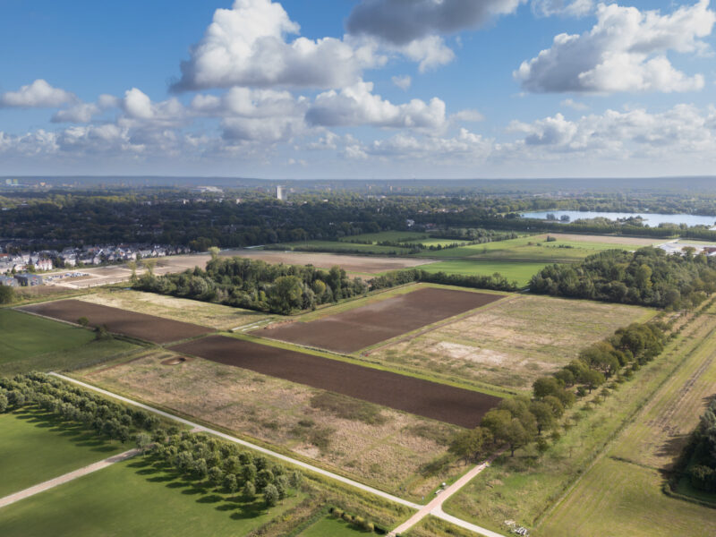 Open perceeldag Voedselbos De Laar