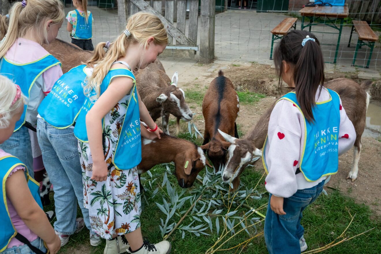 Dierendag-week