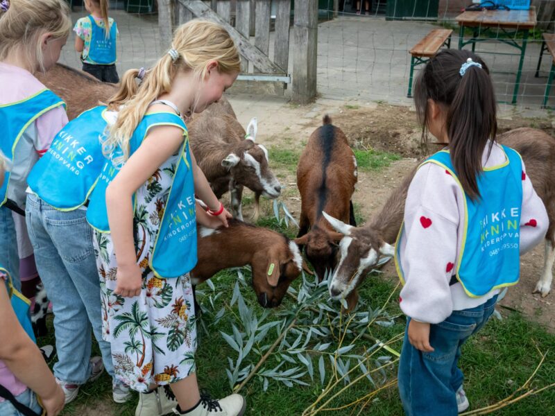 Dierendag-week
