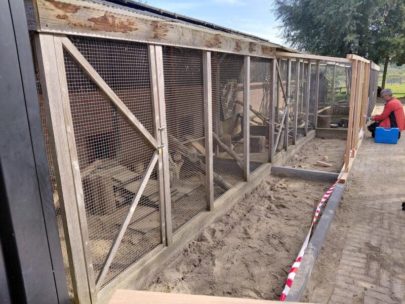Klussen voor de kippen